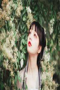 和离后，残废夫君悔疯了畅销巨作