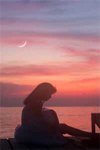 全集小说自由的风