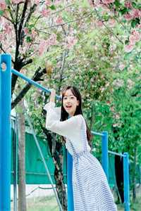 决绝月子全章节