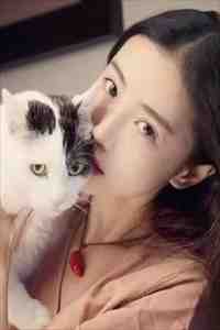 高速上被别车，前车副驾居然坐着我老婆精选篇章