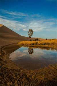 精选全文高温末世，我看着全家去死