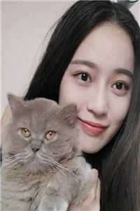 四合院：穿越三年获得巴掌之力完结文