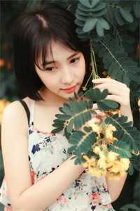 此生山水难相逢顾如烟秦仕桎沈适之彩蛋阅读