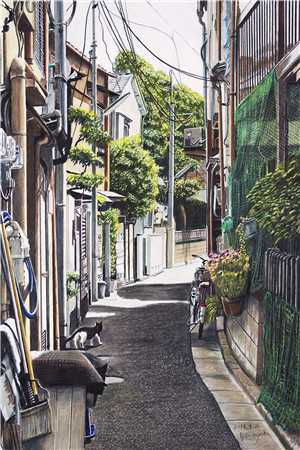 当玫瑰不再为他绽放陆云霆许晴如沈以年完结篇在哪看