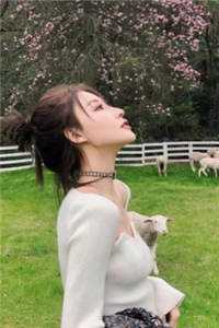 月下孤影渐别离楚晴晴宁翰墨 列表在线看