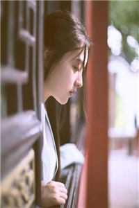 被妻子抛弃后，我回家继承亿万家产列表