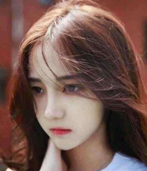 开局逮校花陆远秋白清夏番外电子书阅读热门章节_笔趣阁全文+后续