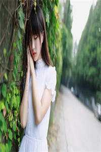 不曾照繁星:全文+后续+完结新书