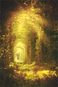 青云逆袭:我上面真的有人!温茹玉林文栋已完结