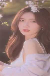 朝朝暮暮与君散全集