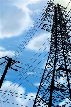 我断情绝爱后，他们集体火葬场了：全文+后续无删减全文