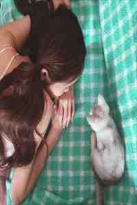 鲸鱼离开深海小说夏思妍贺北渊林絮完本全章在线+开篇大作+最近更新完整版