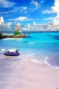 老婆出差三年，回来见我孩子两岁 +作品