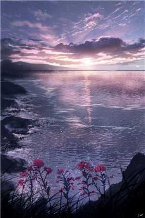 周容川阮流苏全文免费流年深深深几许:结局+番外读无弹窗大结局_在线最新无删减+无广告