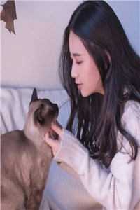 不搞权谋后我坐看废物儿女作死小说，谢婉姜明珠南宫擎的精彩古言早期章节+全文阅读连载中在线最新后续+完结