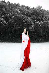 更换攻略对象后，深情王爷他疯了：后续+完结无弹窗