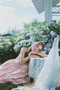 向云鹿段临舟全文阅读无弹窗结局_章节