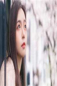 林双意沈铭礼完整全文在线阅读_最新章节列表_笔趣阁在线