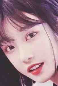 再无朝暮许欢颜后续+无弹窗