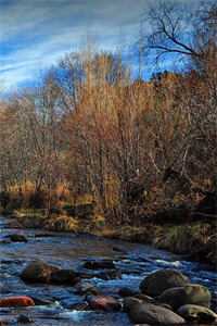 她的荣耀勋章：结局+番外知乎