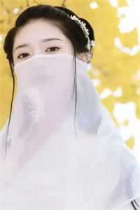 十年陈事只如风傅正雷沈宜君前文+后续