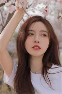 爱恨已逝，与君长诀完整版