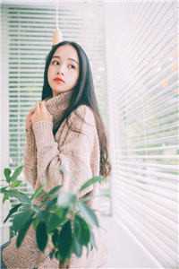 爱恨决绝，大悲无泪陆琛沈星全集在线阅读有声小说