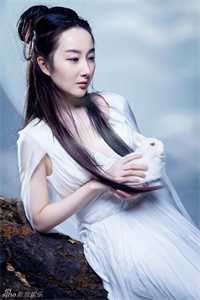 被诬陷是抱错的假千金，养父母心狠手辣要我命月月沈青窈已完结txt小说全本免费在线阅读