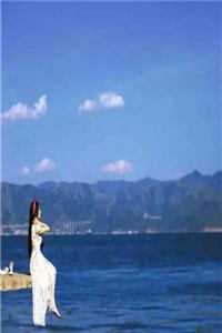 潮退鲸落，汐沉情绝陆言商林夕小说在线免费阅读无广告