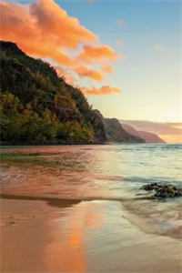 我只想抱大腿，清冷大佬却被钓疯姜圆殷东最新章节在线阅读有声小说