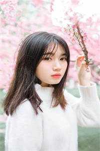 奈何惊鸿入我心：结局+番外完结阅读无弹窗大结局_最新章节列表_笔趣阁在线最新全集在线阅读完整版txt在线阅读