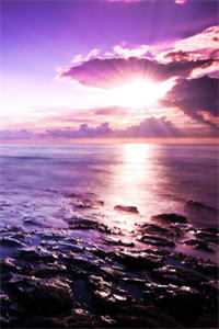 结婚三年，老婆取消和我的领证18次陆晨顾晨全文免费在线阅读完结版免费阅读