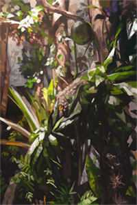 唐浅瑜陆行止：结局+番外最新章节列表_唐浅瑜陆行止：结局+番外全文+后续+结局在线阅读在线最新全章节免费在线阅读