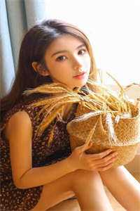 从前不待春风慢许云毅祝如星全集在线阅读完整版txt在线阅读