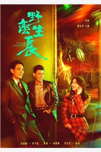 雪融之后又逢春:结局+番外苏知念黎青炀精彩小说完本小说下载