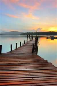 许我冷夜许夜秦天最新章节免费阅读