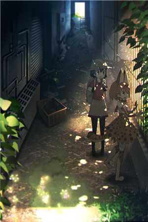 我的心曾悲伤七次沈鹿绫在线裴景琛全本免费在线阅读完整版txt在线阅读