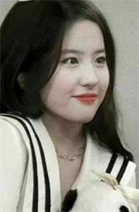 梦里寻她千百度程亦乔时和辰完整版无删减在线阅读