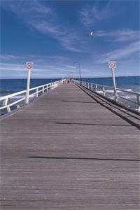 相思烬落冥河渡叶流萤冥渊精彩小说完本小说下载