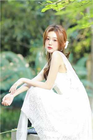 又风又雪又见月贺凌屿黎婉辞免费阅读完整版在线