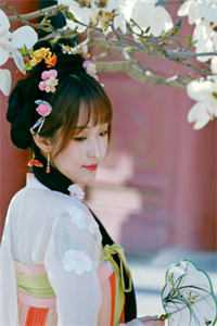 初见爱已晚宋晚柚傅洲白完结版在线阅读最新章节在线阅读