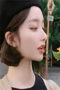 梦里灯火不渡我许砚寒叶摘星免费阅读完整版txt小说无删减