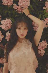 爱如花木向阳而生：+后续免费完整版全本笔趣阁小说