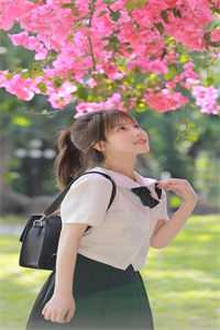 爱恨昭昭，生死别经年沈星傅瑾怀全文免费阅读完结版阅读