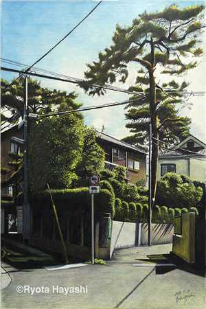 星光不及你深情陈庭序颜如月的小说完结版免费阅读