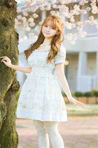 旧梦静默成诗夏青栀陆予安全本免费在线阅读