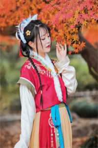 去时惹尘埃，归来月犹在萧子延子延完结版阅读免费阅读笔趣阁txt