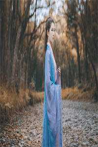 血染征袍诀朱颜顾承景江纪棠全章节免费在线阅读有声小说