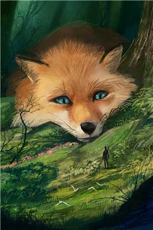 八零军医改嫁后，糙汉营长悔疯了林素清沈烈全章节免费在线阅读完结版免费阅读