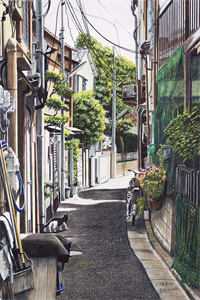 雪落时爱已落幕：结局+番外傅凌砚沈枝雪全章节在线阅读全本在线阅读